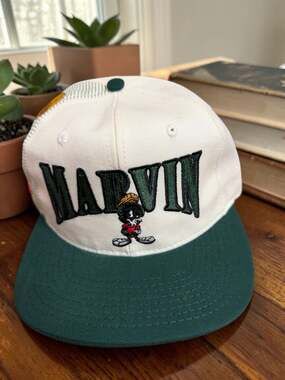 Vintage 1996 USA MADE Marvin Martian Warner Bros Laser Snapback Cap NEW w/ TAG
